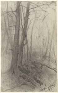 Trees in a Forest