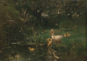 Ducklings