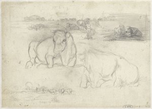 Sketches of Cows