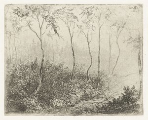 Forest Landscape by Willem Matthias Jan van Dielen