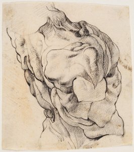 Anatomical Study. Torso of a Flayed Man Seen from the Back Half Turned to the Right by Willem Panneels