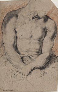 Christ Crowned with Thorns. The Torso of Christ. After Van Dyck by Willem Panneels