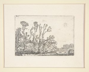 Herd of Sheep Near the Water, Plate 8 from The Set of the Landscapes by Willem Pietersz. Buytewech