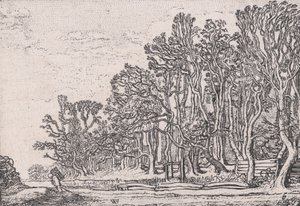 Two Plank Hedges, from Various Little Landscapes, Plate 6 by Willem Pietersz. Buytewech