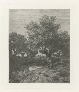 Ducks by a Ditch by Willem Roelofs (I)