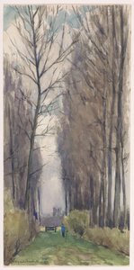 Avenue with Tall Trees
