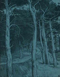 Woodland by Willem Wenckebach
