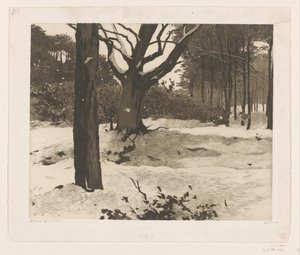 Snowy Forest Landscape in Ede