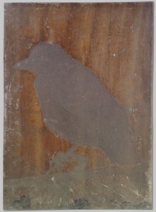 The Crow Ina by Willem Arnoldus Witsen