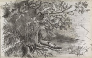 Landscape with a Large Tree in Rhenen by Willem Arnoldus Witsen