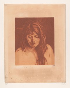 Portrait of an Unknown Woman by Willem Arnoldus Witsen