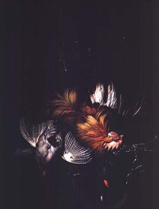 Unknown Image by Willem van Aelst