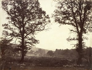 Landscape with Elms, Ashdown, Great Britain