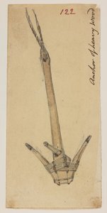 WD 959 section 2 f.122 by William Alexander