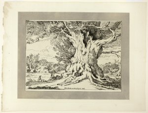 Resting, Men and Dogs Under a Big Tree