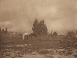 Pasadena Landscape by William B. Post