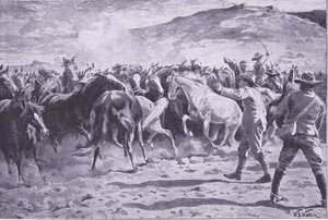 The capture of the horses in the Brandwater district near Fouriesburg: rounding up the drove (illustration from After Pretoria: The Guerilla War, 1902) by William Barnes Wollen