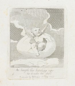 At Length for Hatching Ripe He Breaks the Shell, plate 8 from 