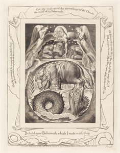 Behemoth and Leviathan by William Blake