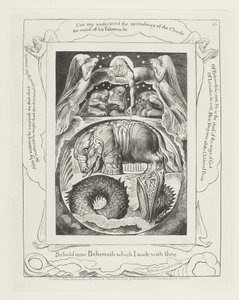 Behold now Behemoth which I made with thee by William Blake