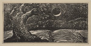 Blasted Trees and Flattened Crops, from Thornton