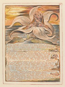 Jerusalem, Chapter 2. Every Ornament of Perfection (Plate 28)