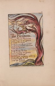 Songs of Innocence and of Experience, Plate 20, The Blossom (Bentley 11) by William Blake