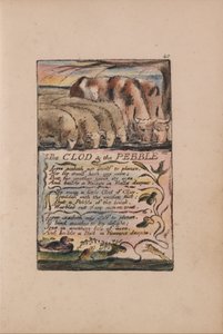 Songs of Innocence and of Experience, Plate 40, The Clod & the Pebble (Bentley 32) by William Blake