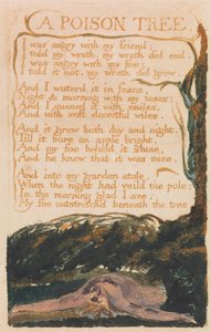 Songs of Innocence and of Experience, Plate 41, A Poison Tree (Bentley 49) by William Blake