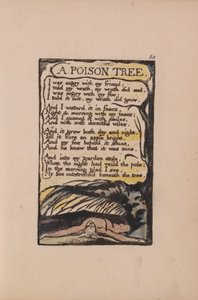 Songs of Innocence and of Experience, Plate 50, A Poison Tree (Bentley 49) by William Blake