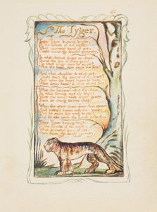 Songs of Innocence and of Experience: The Tyger, c.1825 by William Blake