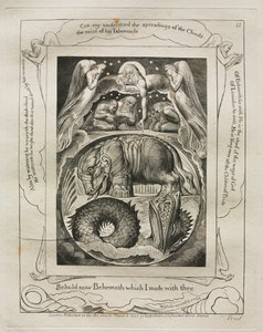 The Book of Job: Pl. 15, Behold now Behemoth which I made with thee by William Blake