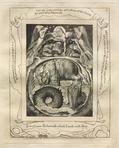 The Book of Job: Pl. 15, Behold now Behemoth which I made with thee by William Blake