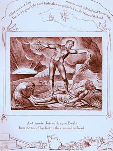 The Book of Job Illustrations