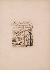 There Is No Natural Religion, Plate 3, I Man Cannot Naturally (Bentley a4)