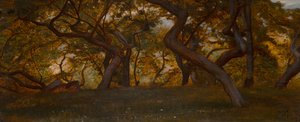 A Wood near Volterra, Italy
