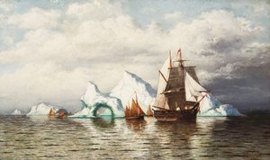 Among the Icebergs, Coast in Labrador