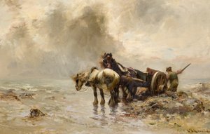 Carting Seaweed