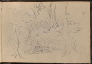 Sketch of a Group of Trees