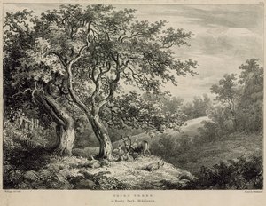 Thorn trees in Bushy Park, Middlesex by William Burges