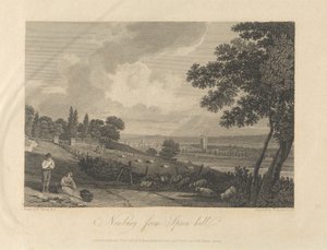 Newbury from Speen Hill