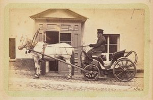Man driving horse-drawn carriage