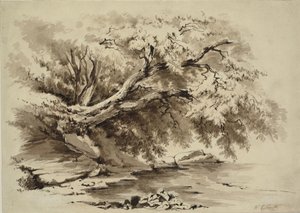 Landscape with Trees Overhanging a Lake