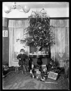 Seymour Boy Posed Seated on Tricycle Beside Christmas Tree in Parlor, Christmas 1912 by William Davis Hassler