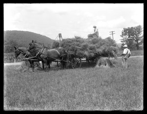 Two men loading wheat sheaves on to a horse-drawn cart, probably the McCready Farm, Crawford County, Pennsylvania by William Davis Hassler
