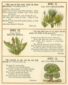 Page from The Bible Emblem Anniversary Book by William Foster
