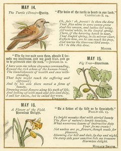 Page from The Bible Emblem Anniversary Book by William Foster