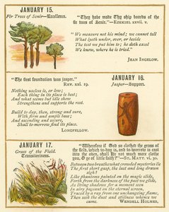 Page from The Bible Emblem Anniversary Book by William Foster