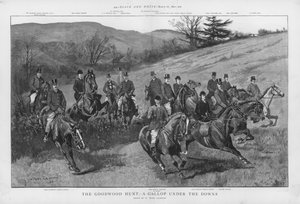 The Goodwood Hunt - a gallop under the Sussex Downs