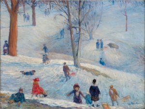 Sledding, Central Park